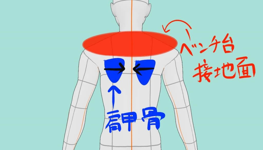 ベンチプレスを1 挙げた時の僕の 肩甲骨の寄せ方 をシェア Pのアトリエ